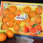  [제주연가]황금향 5kg 16~26과(선물용) - YES24  [제주연가]황금향 5kg 16~26과(선물용)