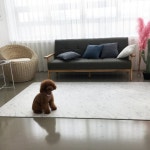  고려화학매트 도그방 애견매트 강아지매트 - YES24  고려화학매트 도그방 애견매트 강아지매트