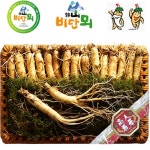  [비단뫼] 금산수삼 750g/16~19편 - YES24  [비단뫼] 금산수삼 750g/16~19편