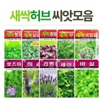  새싹 씨앗 - YES24  새싹 씨앗