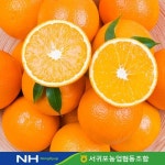  서귀포농협 청정오름 청견 오렌지 3kg/11-15수 - YES24  서귀포농협 청정오름 청견 오렌지 3kg/11-15수