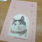 말괄‘냥이’ 삐삐 - YES24