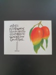 오일파스텔로 그리는 달콤한 손그림 | 임새봄 | 따스한이야기 - 예스24