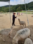 쉼 | YES 블로그