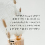 더 해빙 The Having (50만부 기념 리커버 에디션) - YES24