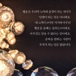 더 해빙 The Having (50만부 기념 리커버 에디션) - YES24