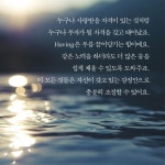 더 해빙 The Having (50만부 기념 리커버 에디션) - YES24