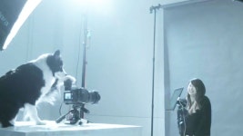 [국제]반려견이 찍어주는 가족사진 포독그래퍼 반려견이 찍어주는 가족사진 포독그래퍼