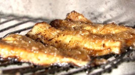 [국제]日 대체 보양식의 탄생...장어 맛 나는 메기 인기日 대체 보양식의 탄생...장어 맛 나는 메기 인기