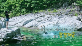 [전국][영상] 강원도 비밀의 계곡 3곳 추천![영상] 강원도 비밀의 계곡 3곳 추천!