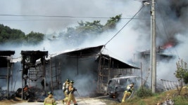 [전국]양계장서 불...닭 5만5천여 마리 폐사 양계장서 불...닭 5만5천여 마리 폐사