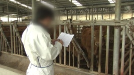 [전국]공수의사 담당 농장도 항체 0%...신뢰 추락공수의사 담당 농장도 항체 0%...신뢰 추락