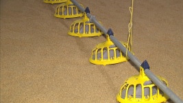 [사회][경기] AI로 텅 빈 농장...생활비도 바닥 [경기] AI로 텅 빈 농장...생활비도 바닥