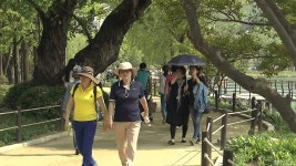 [전국]달구벌은 초여름 열기...대구 31도 넘어! 달구벌은 초여름 열기...대구 31도 넘어!