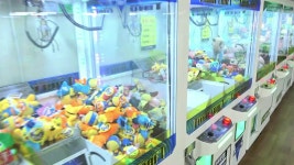 [경제]뽑기방에 넘쳐나는 짝퉁 인형...환경호르몬도 검출뽑기방에 넘쳐나는 짝퉁 인형...환경호르몬도 검출