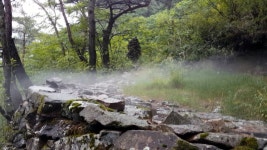 [전국]한여름에 냉기가...풍혈을 아시나요? 한여름에 냉기가...풍혈을 아시나요?