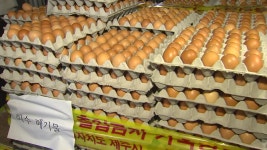 [경제][속보] 달걀 위해평가 결과 건강 우려 없어 [속보] 달걀 위해평가 결과 건강 우려 없어
