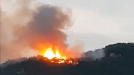 [사회]안양 삼성산서 화재...산림 3천300㎡ 소실 안양 삼성산서 화재...산림 3천300㎡ 소실