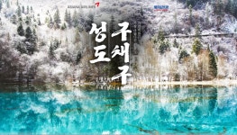 롯데관광::명품여행 믿고가는 여행, 롯데관광