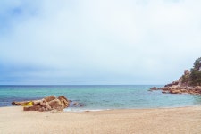 내가 만난 강원도 고성맛집 BEST 3 | 한국경제TV 내가 만난 강원도 고성맛집 BEST 3 