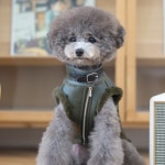 다이소몰에 방문해 주셔서 감사합니다. 