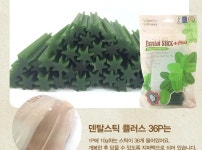 텐바이텐 10X10 : 덴탈스틱 플러스 36p 5개