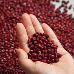 지투지샵 우가네_적두(팥) 1kg - 에누리 가격비교