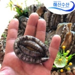 해신수산 완도 활전복 30-40미 1kg [1개] - 에누리 가격비교