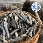 바다어보 통영 다시멸치 1.5kg 형 남해멸치 국물멸치 대멸치 - 에누리 가격비교