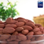 아침미소 더해담 채미원 볶음땅콩 국내산 - 에누리 가격비교