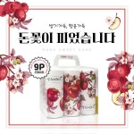 조인트크리에이티브 슬림티슈 플라워패턴 60매 (9입) [1팩(9입)] - 에누리 가격비교