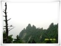 산행기 - ♠ 십이선녀탕엔 선녀가 없더라!!! ♠  - 설악산 장수대에서 남교리까지 -