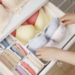드레스룸 속옷 양말 깔끔한 서랍 칸막이 수납정리함 L / 디바이스마트 드레스룸 속옷 양말 깔끔한 서랍 칸막이 수납정리함 L
