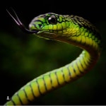 던전앤파이터 No.1 커뮤니티, 던전앤파이터 게임조선! - [소울/잡담] 20/6 어캐하는거에요? [소울/잡담] 20/6 어캐하는거에요?