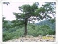 산행기 -  ♬ 가을의 길목에서 소요산 소요하기 /  사진산행기 ♬