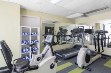 네수토 파라마타 검색결과 네수토 파라마타