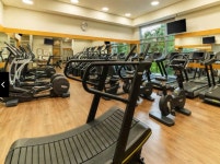 그랜드 하얏트 호텔 상파울루 검색결과 그랜드 하얏트 호텔 상파울루