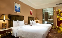 티고 호텔 검색결과 티고 호텔