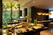 스타호텔 에코 검색결과 스타호텔 에코