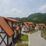 보성녹차리조트 검색결과 보성녹차리조트