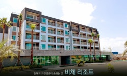 뉴비체 제주 리조트 검색결과 뉴비체 제주 리조트
