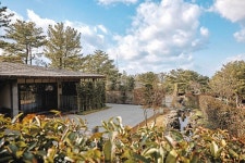 엠버 퓨어힐 호텔 앤 리조트 제주 검색결과 엠버 퓨어힐 호텔 앤 리조트 제주