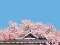 라한호텔 전주 검색결과 라한호텔 전주