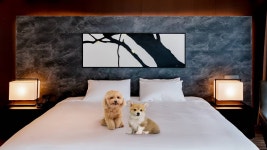 경주 SG빌라앤호텔 | 경주호텔 예약 · 가격비교 | 호텔패스