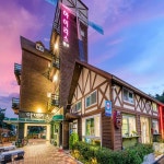 통영 풍차마을 아이리스 검색결과 통영 풍차마을 아이리스