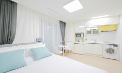 양양 E7 죽도 검색결과 양양 E7 죽도