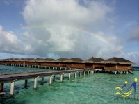 메드푸시/메드푸시 아일랜드 리조트 검색결과 메드푸시/메드푸시 아일랜드 리조트