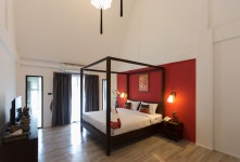 빅 트리 부티크 호텔 검색결과 빅 트리 부티크 호텔