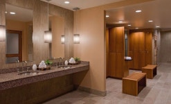 하얏트 앳 올리브 8 검색결과 하얏트 앳 올리브 8