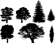 Tree Silhouettes clip art Free vector in Open office drawing svg ( .svg ) vector illustration graphic art design format format... 